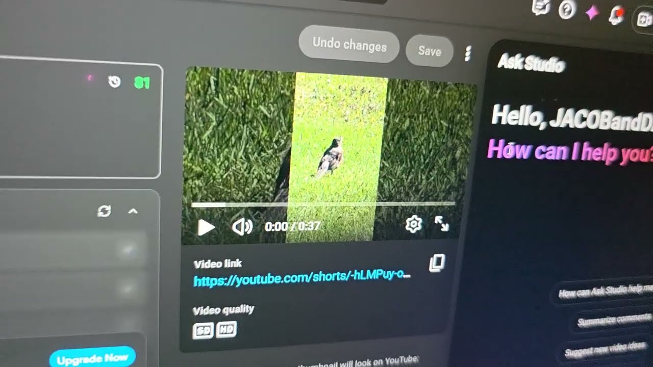 Пользователь задает вопрос Ask Studio — фрагмент видео JACOBandDAD